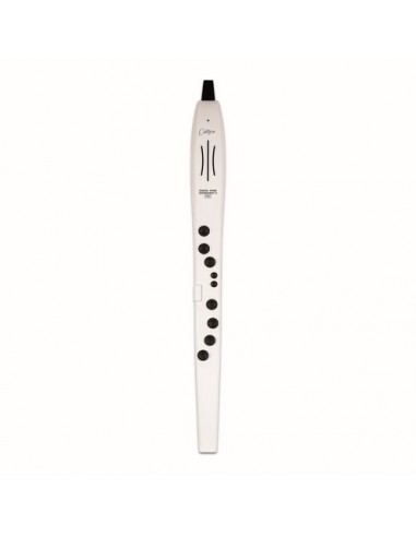 DIGITAL WIND INSTRUMENT PRO WH