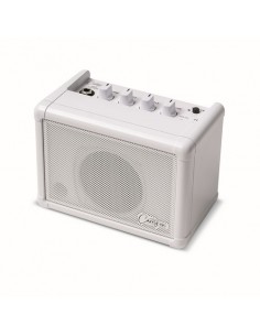 MINI SPEAKER BASED ON THE FLY-