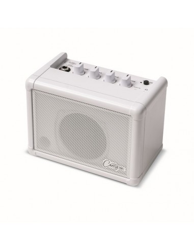 MINI SPEAKER BASED ON THE FLY-
