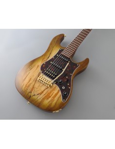 GUITARRA ELECTRICA FGN...