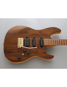 GUITARRA ELECTRICA FGN...