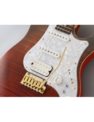 GUITARRA ELECTRICA FGN FUJIGEN EXPERT ODYSSEY RIPE KAKI GRADIATION