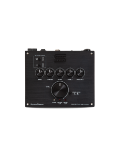 Power Stage Black 100 Stereo E