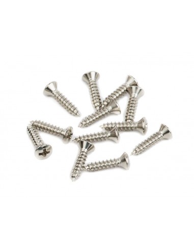 TORNILLOS GOLPEADOR FENDER 12ud NÍQUEL
