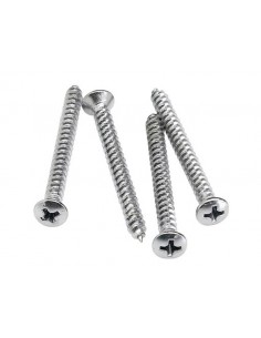 neck mounting screws,...