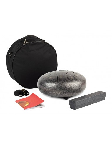 TONGUE DRUM HAYMAN DE 10” DO MAYOR 11...