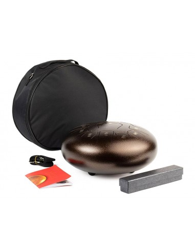 TONGUE DRUM HAYMAN DE 12” DO MAYOR 13...