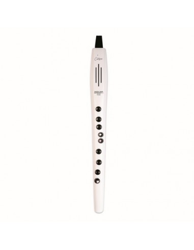 DIGITAL WIND INSTRUMENT PLUS W