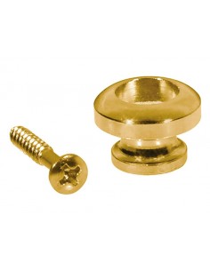 Sujetacorreas Boston 14mm...