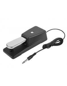 Pedal sustain Boston...