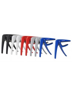 PACK DE 10 CEJILLAS BOSTON...