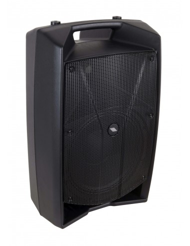 V12 PLUS Active Loudspeaker system