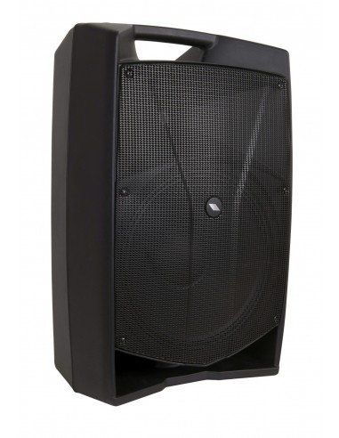 V15 PLUS Active Loudspeaker system