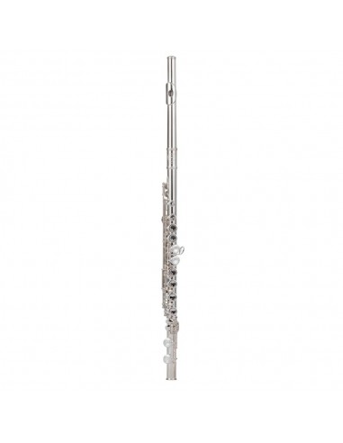 Flute Master, closed hole, Pisoni...