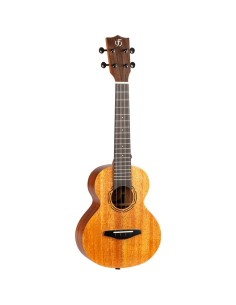 Ukelele Concert Flight...