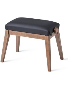 BANQ BG50-VINYL-BK