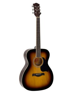 GUITARRA ACÚSTICA RICHWOOD...