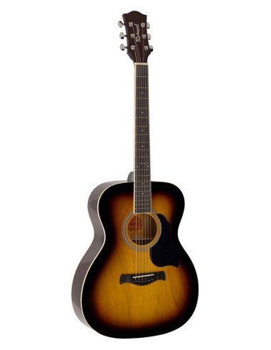 GUITARRA ACÚSTICA RICHWOOD AUDITORIUM...