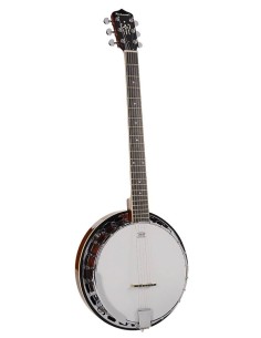 Banjo 6 cuerdas Richwood...