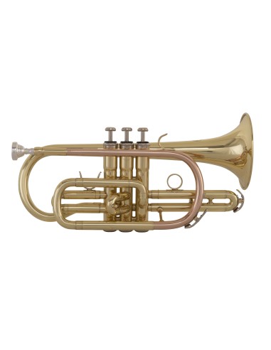 Lacquered Cornet, SC240