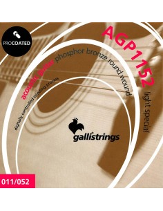 string set acoustic,...