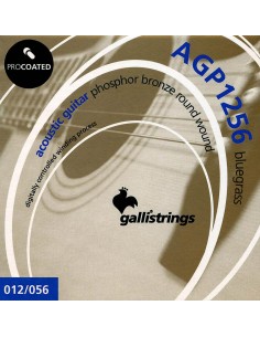 string set acoustic,...