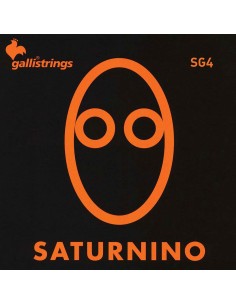 string set electric bass,...