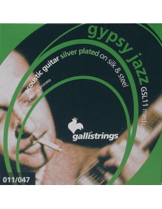 string set acoustic, silk y...