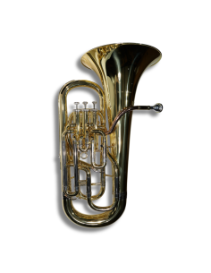 Bombardino Taylor Collins...