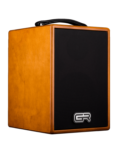 AMPLIFICADOR COMBO ACÚSTICA WD5 80W