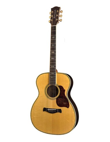 GUITARRA ACÚSTICA RICHWOOD...