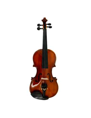 Violín 4/4 Gaudieri HD-V00