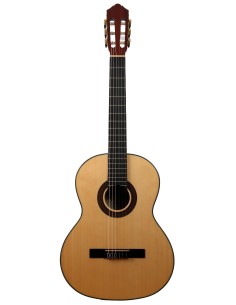 C20 - GUITARRA ESPAÑOLA C20...