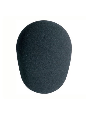 ANTIVIENTO 45X115MM (UNIDAD) N