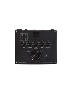 Power Stage Black 100 Stereo E