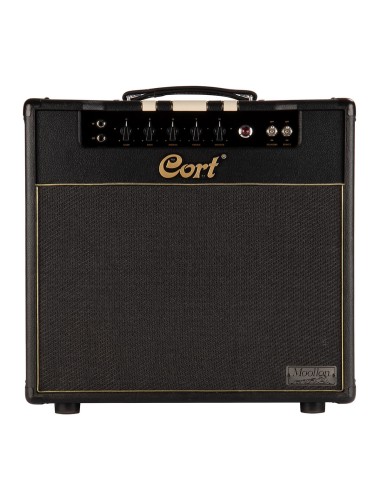 AMP COMBO CMV15