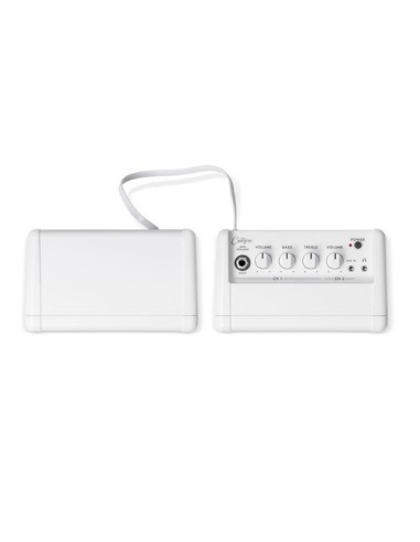 BUNDLE MINI SPEAKER + EXTENSIO