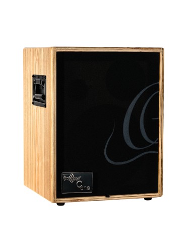 COMBO AMP. ASH CONE-ASH