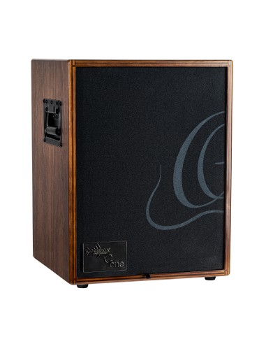 COMBO AMP. WALNUT CONE-WND