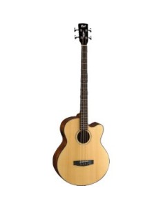 BAJO ACUST AB850F NT W/BAG