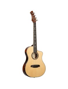 KT-WALKER-V3 TRAVELER,THINLINE